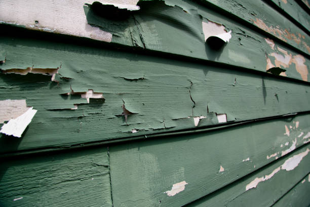 Best Recycling Services for Junk  in Carthage, TN